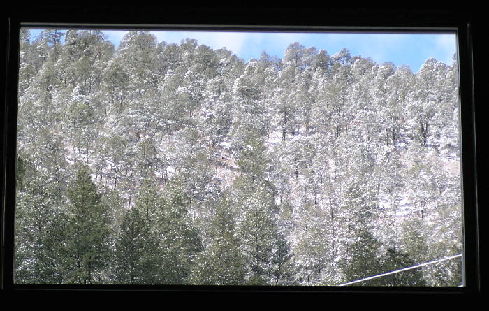 VIEW
